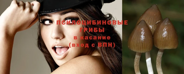 дмт Беслан