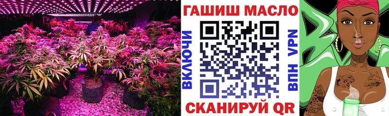 ТГК концентрат  маркетплейс Telegram  Городовиковск 